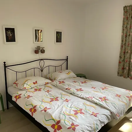 Lili I * Baška