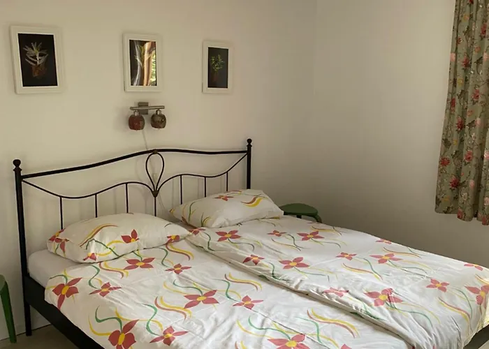 Lili I * Baška